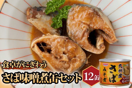 缶詰 サバ缶（味噌）12缶セット 缶詰 鯖 さば【B2-110】