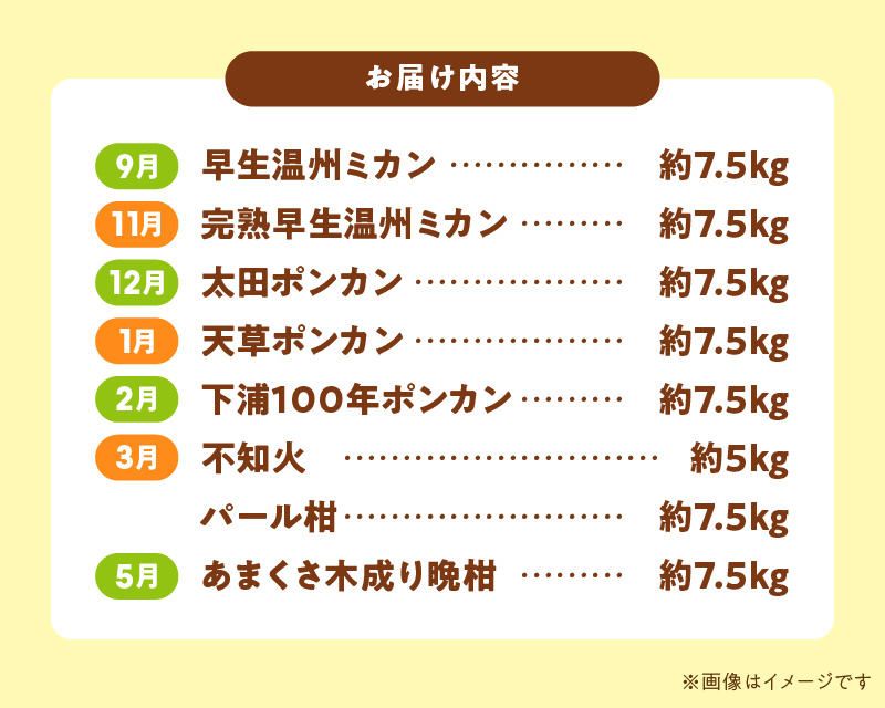 S040-T01_【定期便8回】天草 下浦地区特産の柑橘8種食べ尽しコース(訳あり)【先行受付】
