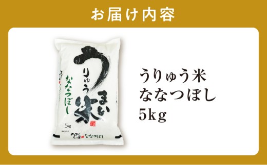 【9月発送】 うりゅう米 ななつぼし 5kg （5kg×1袋） お米 米 ごはん ご飯 特A 単一原料米 お弁当 国産 人気 おすすめ kome 雨竜町