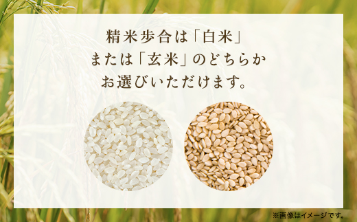 【令和6年新米先行予約/9月発送開始】高本さんちのお米 コシヒカリ 5kg×1袋【白米/玄米】 米 こめ コメ お米 おこめ おコメ ご飯 ごはん コシヒカリ こしひかり 兵庫県 朝来市 AS2BB2