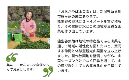 令和8年産 ぜんまい 小500g 2026年産【乾燥ぜんまい 干しぜんまい 天日干し 手もみ 乾物 新潟県 糸魚川市 山菜 ゼンマイ 能生谷 おおかやば山菜園】