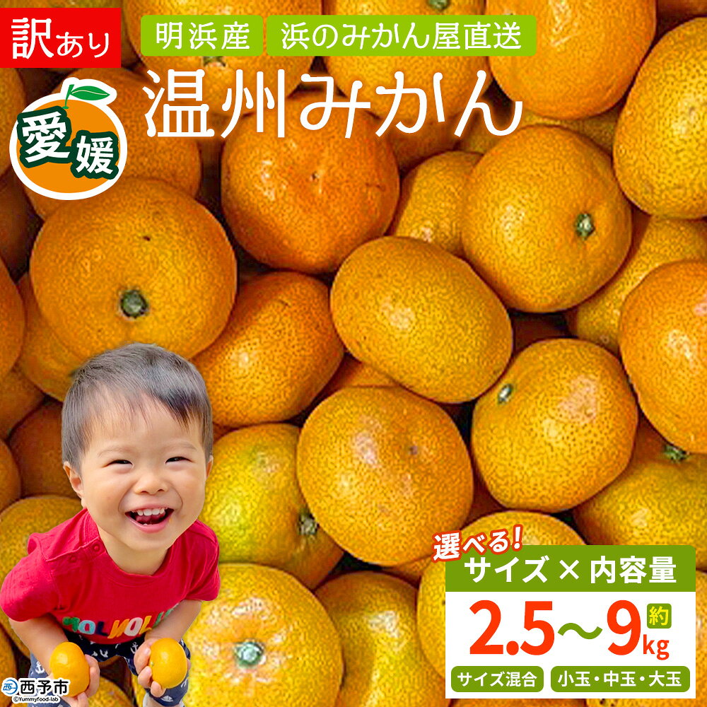 【ふるさと納税】＜訳あり 温州みかん 約2.5/3/4.5/5/9kg＞『2026年11月上旬〜2026年12月中旬迄に順次出荷』 選べる S M L 小玉 中玉 大玉 明浜産 果物 フルーツ 蜜柑 うんしゅうみかん ウンシュウミカン 柑橘 家庭用 浜のみかん屋 直送 愛媛県 西予市【常温】