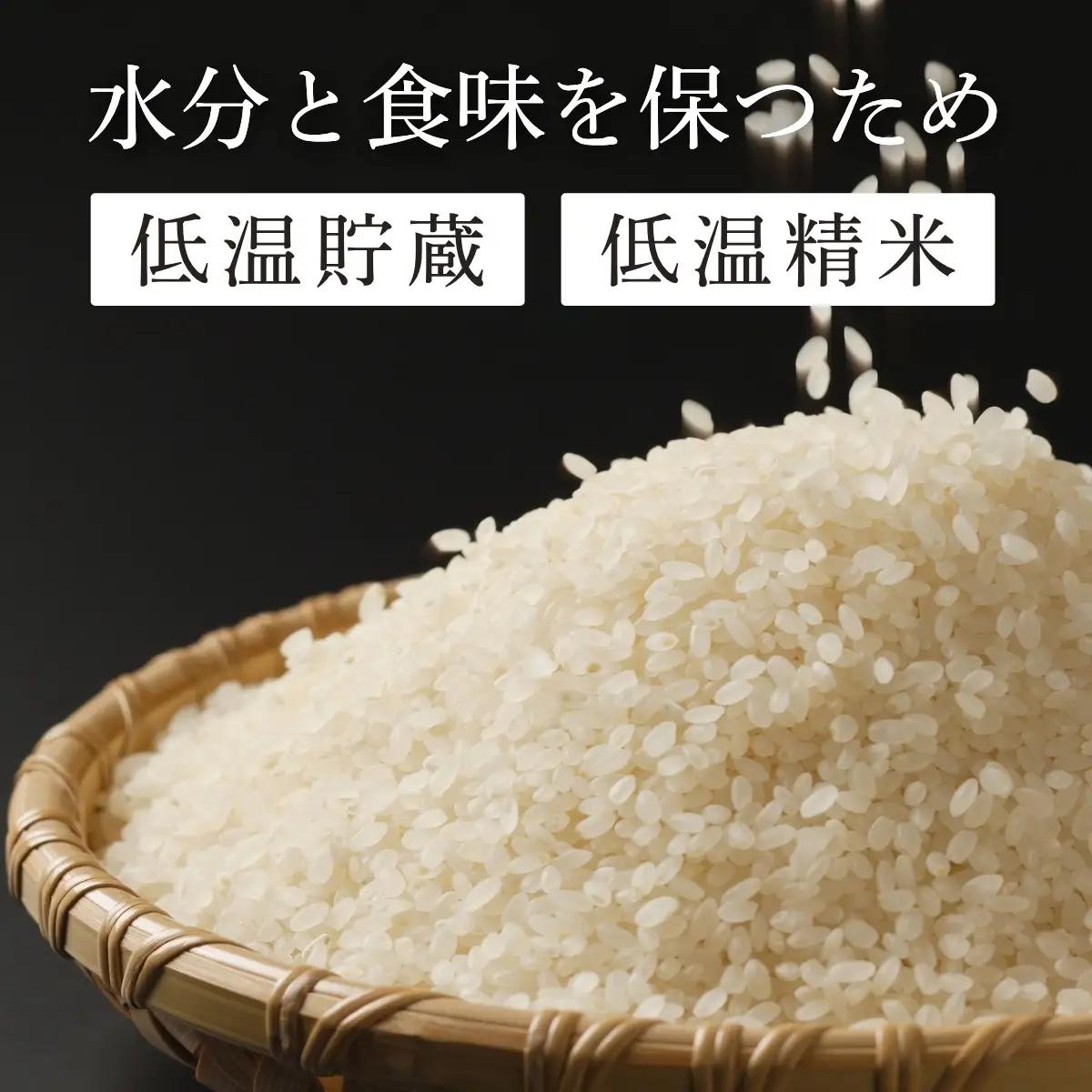 コシヒカリ【新米】特A コシヒカリ 令和8年産 特別栽培米 丹波篠山産  2kg×3袋 小分け こしひかり