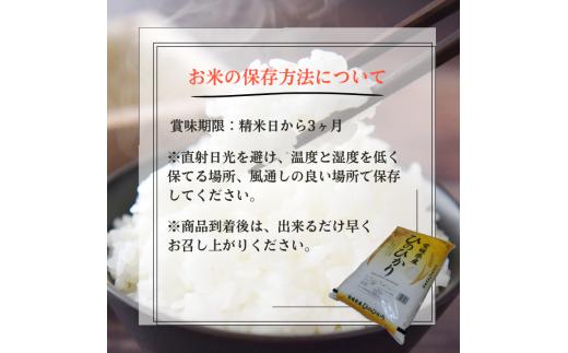 愛媛県産ひのひかり10kg