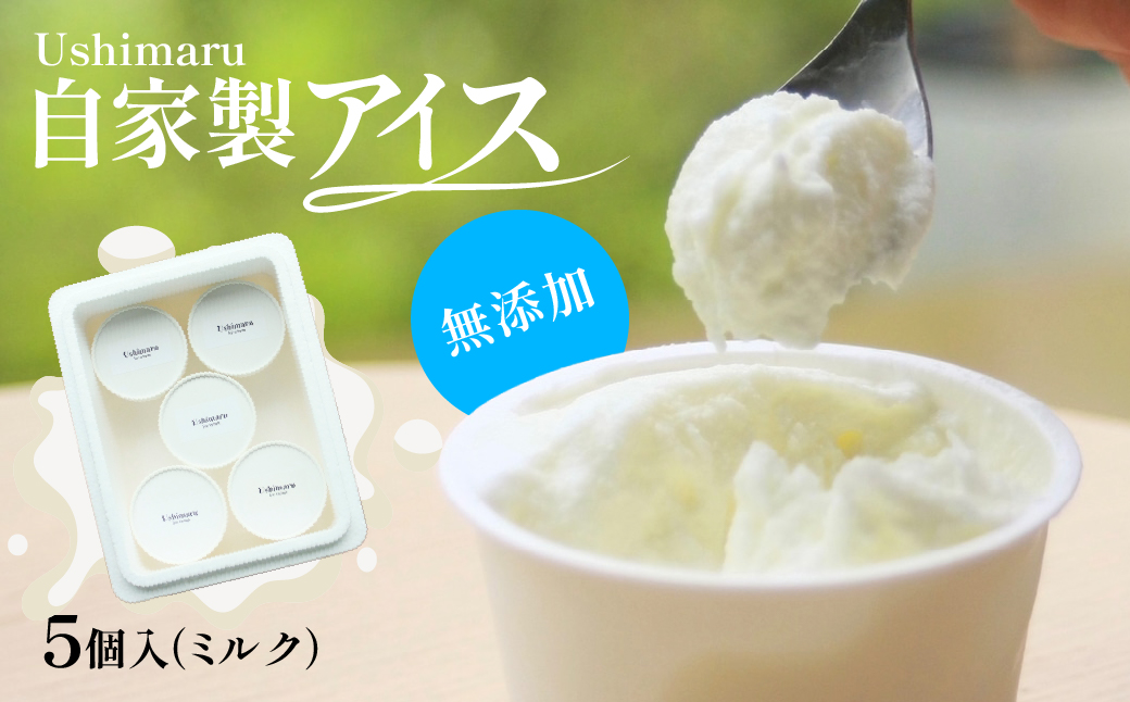 Ushimaru自家製アイス5個入（ミルク）/ふるさと納税 アイス アイスクリーム ミルクアイス スイーツ おやつ 添加物不使用 無添加 生乳 山武市 千葉県    SMBM014