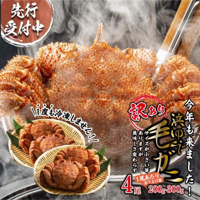 ふるさと納税 新ひだか町 ＜2027年2月上旬より発送開始＞訳あり 北海道産浜ゆで毛ガニ 4尾＜先行受付＞