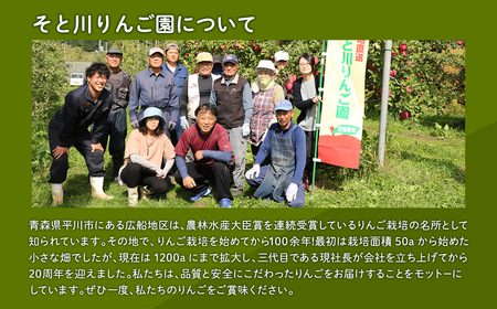 青森県産りんご＆りんご加工品詰め合わせセット【りんご　りんごジャム　りんごバター　りんごジュース　青森　平川市　そと川りんご園】