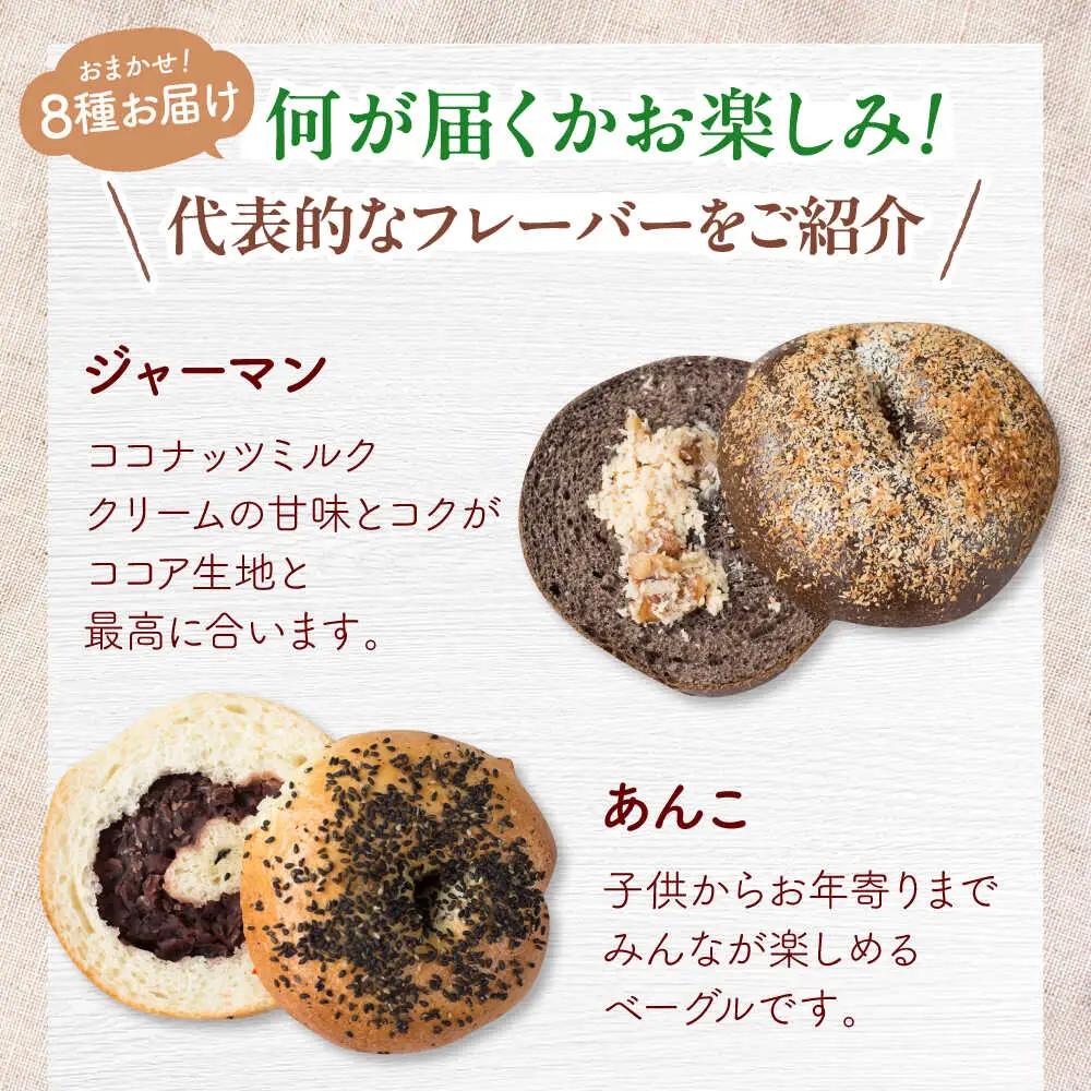 【全3回定期便】厳選おすすめ ベーグル 8個セット  BCAE008 パン