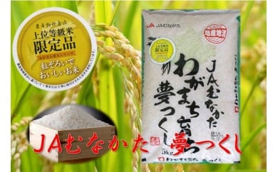 【定期便／年12回／毎月お届け】夢つくし定期便(10kg×12か月）【JAむなかたお米パール店】_HB0133