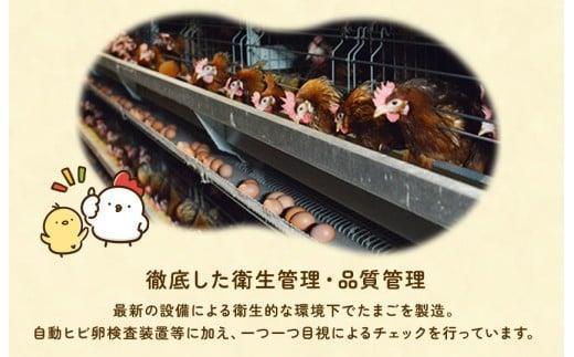 【定期便10回】九十九里ファームこだわりたまご贈答用 90個 ～あおい海・みどりの里～《白玉》 たまご 卵 玉子 タマゴ 白玉 卵かけご飯 新鮮 旨み 甘み 贈答用 贈答 ギフト 贈り物 千葉県 匝瑳