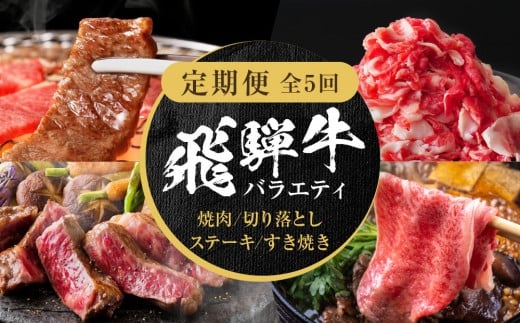 
            【定期便】全5回 飛騨牛 バラエティ（ステーキ /焼肉 / すき焼き/切り落とし） | 肉 お肉 黒毛和牛 和牛 個包装 小分け 牛肉 お取り寄せ 飛騨高山ミート MZ104
          
