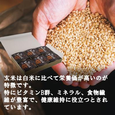 ふるさと納税 国東市 食物繊維たっぷり! 松原ファームの玄米パックライス ひとめぼれ 150g×6P_2576R |  | 02