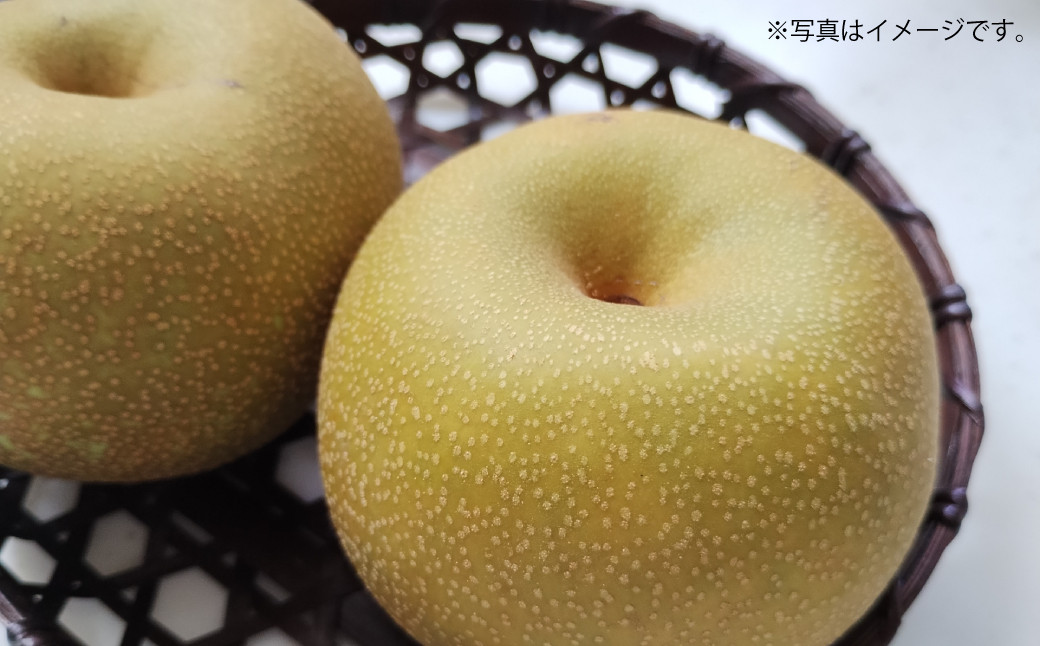 
            吉野梨 幸水 約5kg 【2025年7月下旬発送開始】 なし ナシ 梨 幸水梨 果物 くだもの フルーツ 熊本県産 
          