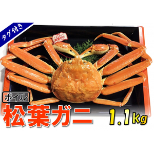 【1540】【魚倉】タグ付きボイル松葉ガニ(特特大1,100g)