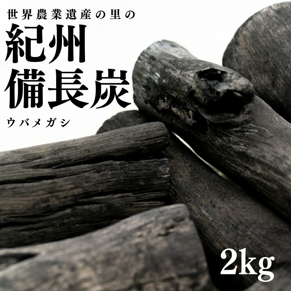 【ふるさと納税】 紀州備長炭2kg / びんちょうたん 木炭 バーベキュー BBQ 囲炉裏 七輪 炭火焼き 炭焼き 火起こし キャンプ レジャー アウトドア 燃料 消臭 除湿 脱臭 ウバメガシ あらかし 樫 伝統 国産