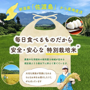 【新米予約 3か月定期便】佐渡島産コシヒカリ 白米5Kg 令和7年 特別栽培米 農家直送