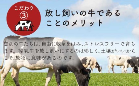 バニラアイスクリームセット