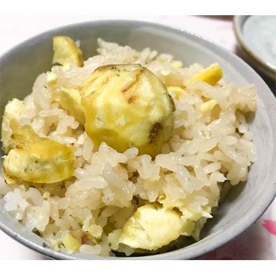 ふるさと納税 福知山市 秦栗園のあま〜い氷蔵丹波栗 筑波2L むき1kg【熟成】大粒 11月中旬発送 |  | 01