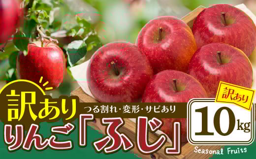 期間・数量限定【陽気な母さんの店】Ｒ7年産「訳ありふじ」（10kg）95P3403 /  東北 秋田 大館 リンゴ 林檎 果物 フルーツ 東北 秋田 大館 りんご ふじ フジ ジューシー 果汁 おいしい 農家直送 10kg わけあり ワケアリ 訳あり 訳アリ つる割れ ツルワレ ツル割れ サビ さび 日焼け 変形 小玉