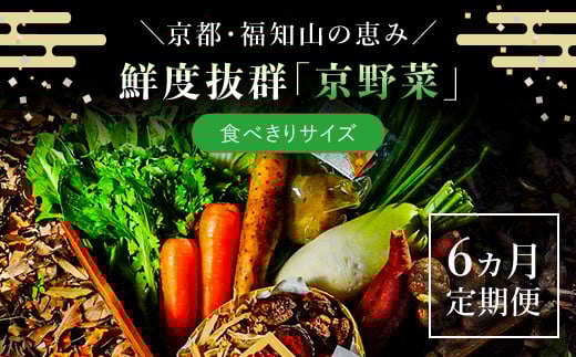 
            【6ヵ月定期便】鮮度抜群「京野菜」　食べきりサイズ詰合せ（6～7品）  ふるさと納税 京野菜 野菜 新鮮 食べきり 詰合せ 定期便 6か月 京都府 福知山市
          