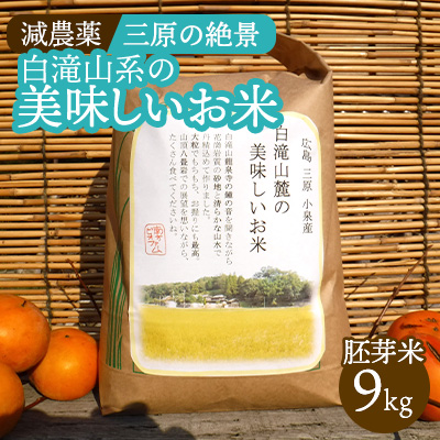 【10月中旬から発送】≪減農薬≫ 三原の絶景白滝山系の美味しいお米9kg（胚芽米） 新米  002008