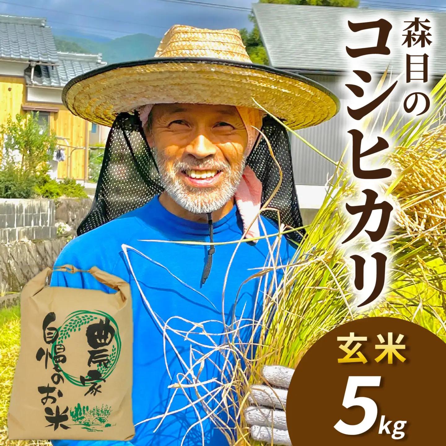 新米 こしひかり 玄米 5kg 新米 【令和8年産 先行予約】