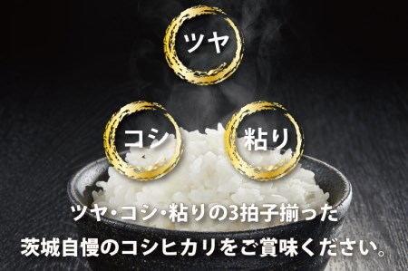 令和5年産  茨城 コシヒカリ 10kg (5㎏×２袋) 米 お米 おこめ 白米 ライス ご飯 精米 こしひかり 国産 茨城県産_CU001
