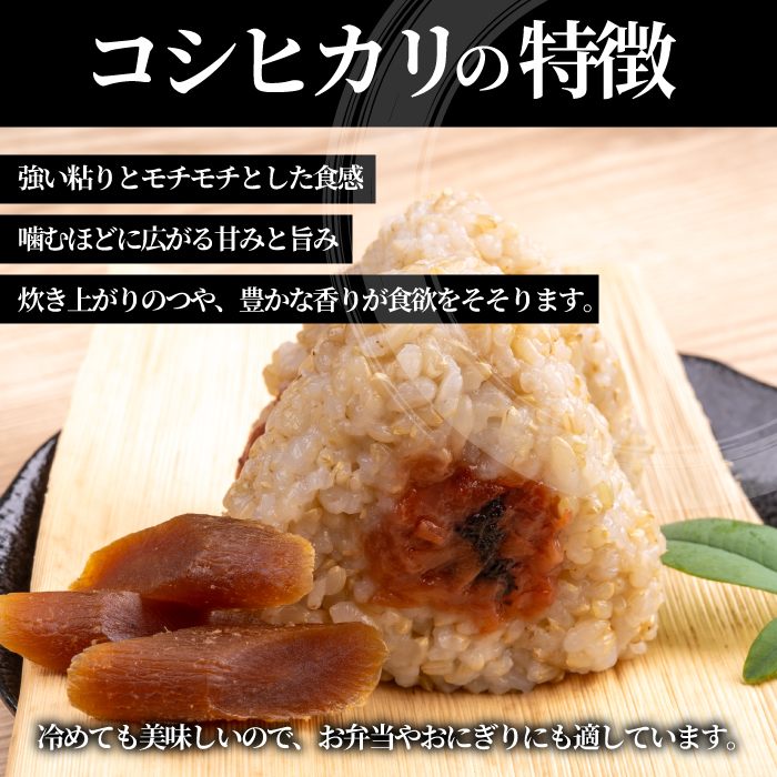 【令和7年新米】コシヒカリ 玄米 5kg こしひかり ごはん お米 米 181004