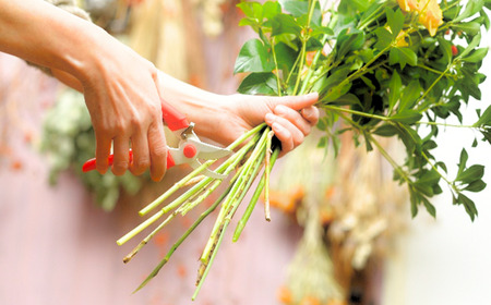 剪定はさみ ハンドクリエーションP180黒刃 ピンク 花ハサミ 園芸ハサミ 生花用 園芸用品 ガーデニング用品 [坂源] 【011S152】