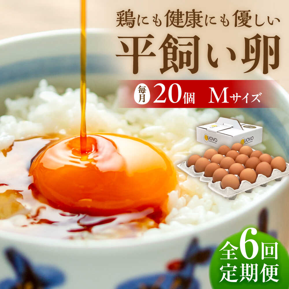 【ふるさと納税】★6回定期便★平飼い卵「天上卵」20個セット糸島ファームハウスUOVO/鶏卵/平飼い/たまご/玉子 [AKH003] 56000円 常温