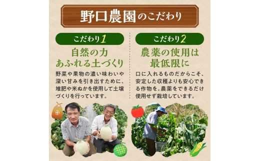 野口農園ななつぼし5kg【3ヶ月定期便】 | お米 北海道産 産地直送 ブランド米 野口農園 国産 精米 白米 米 北海道 当別町