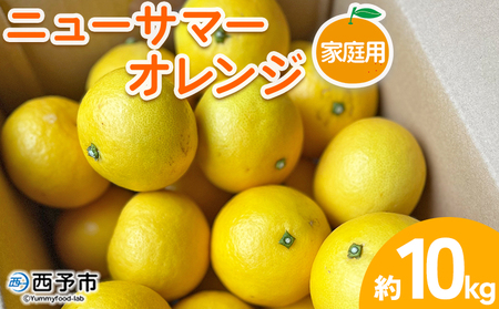 ＜ニューサマーオレンジ 家庭用 約10kg＞ 訳あり わけあり 自宅用 果物 フルーツ みかん ミカン 蜜柑 オレンジ 柑橘 にゅーさまーおれんじ 選べる 食べて応援 特産品 柑橘園柴田 愛媛県 西予市【常温】『2025年4月中旬～5月中旬迄に順次出荷予定』MKE0012