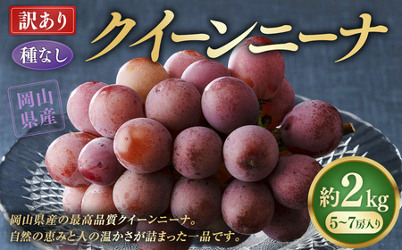 【訳あり】 《種なし》 岡山県産 クイーンニーナ 約2kg（5～7房）【2026年8月下旬-9月下旬発送予定】 ／ ぶどう ブドウ 葡萄 大粒 種なし 種無し フルーツ 果物 くだもの 果実