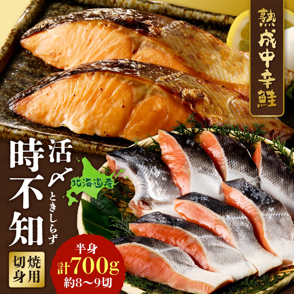 【ふるさと納税】 鮭 鮭乃丸亀 北海道産 8切～9切 活〆時不知 白鮭 切身 半身 焼用鮭 熟成 希少 高級 真空包装 冷凍 水産 焼き魚 おかず お弁当 海鮮 魚介 お取り寄せ しゃけ 魚 個包装 小分け 北海道 札幌市