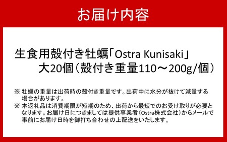 2361R_生食用殻付き牡蠣「Ostra Kunisaki」大きいサイズ20個（殻付き重量110～200g/個）