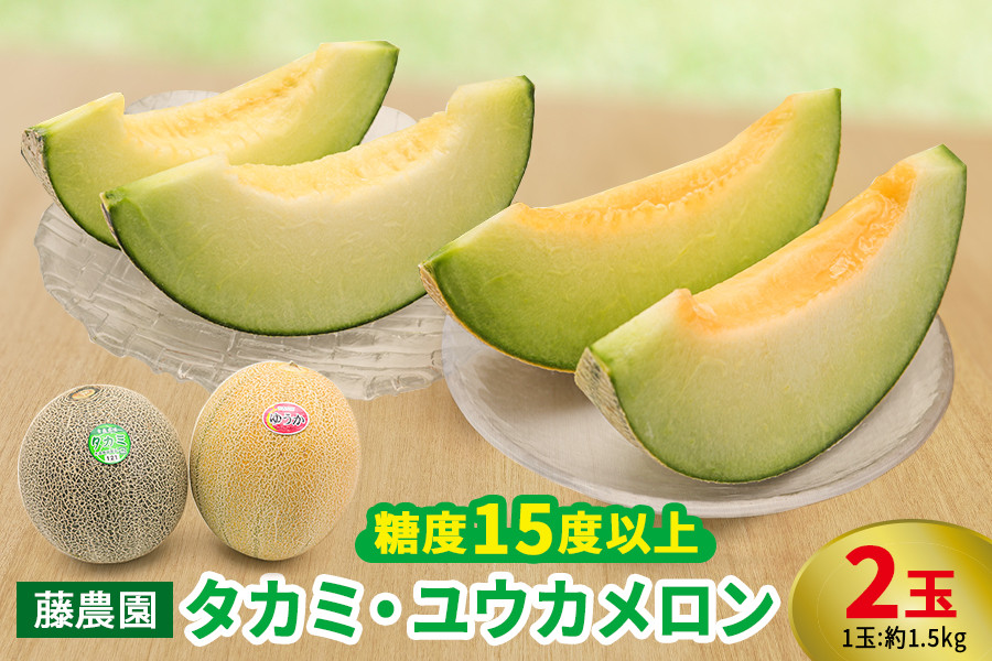 
            メロン [タカミ] [ユウカ] 2玉セット｜青森産 産直 2025年産 令和7年 夏 めろん 果物 フルーツ 旬 特産 藤農園 農福連携 先行受付 [0837]
          
