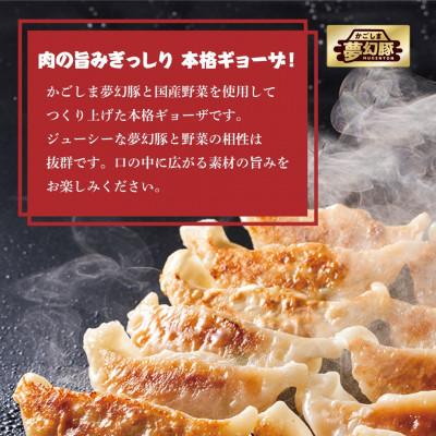 ふるさと納税 鹿屋市 かごしま夢幻豚餃子60個　2773(鹿屋市) |  | 02