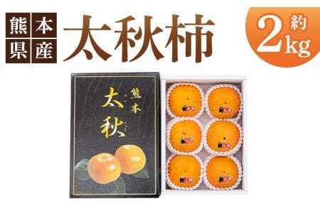 太秋柿 合計約2kg（5～6玉）【2026年10月上旬?11月中旬頃発送予定】サンサンうきっ子宇城彩館