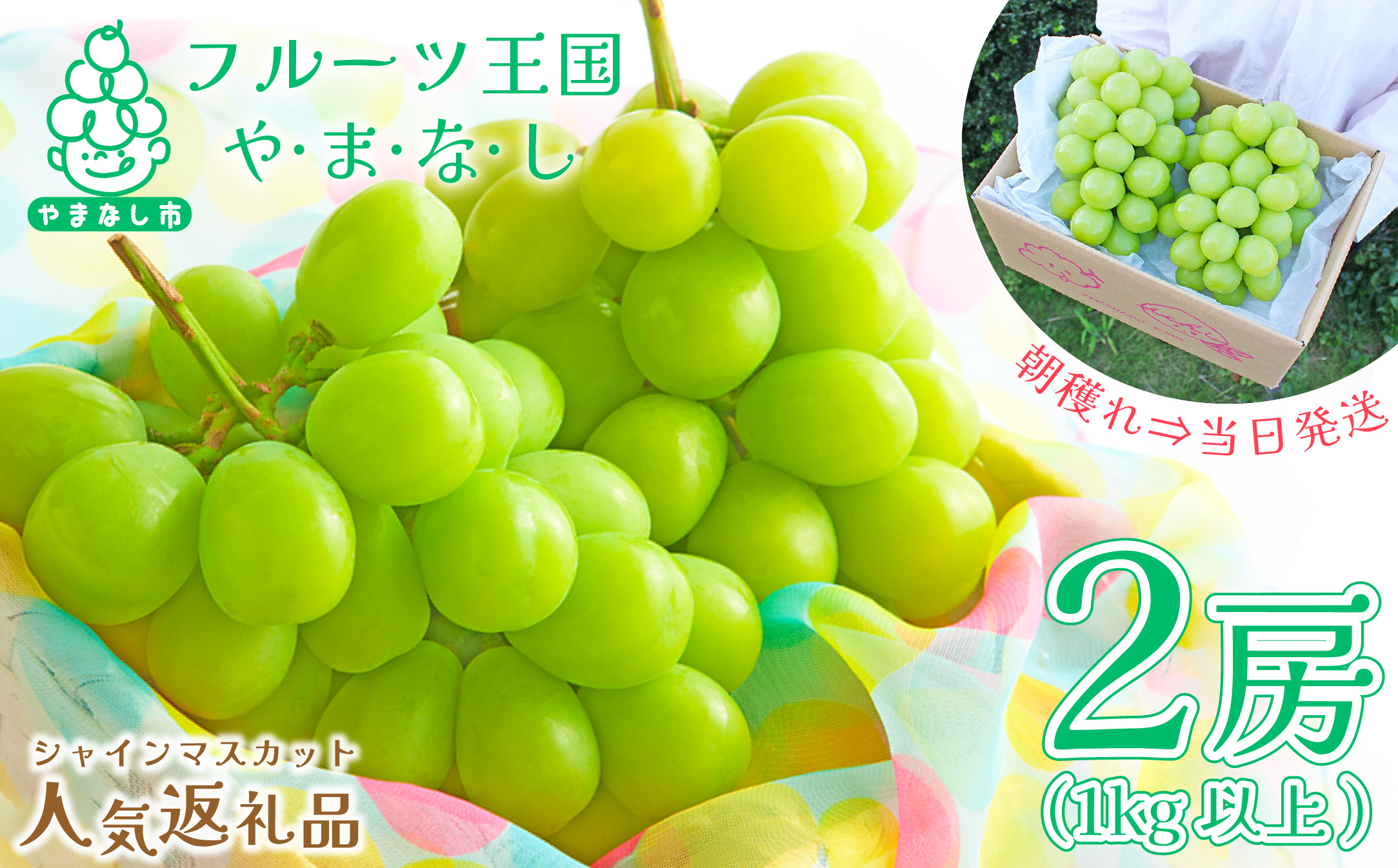 
2025年先行受付 山梨県産シャインマスカット 2房(1kg以上) 山梨が誇る人気果物 熟練農家厳選【1272524】
