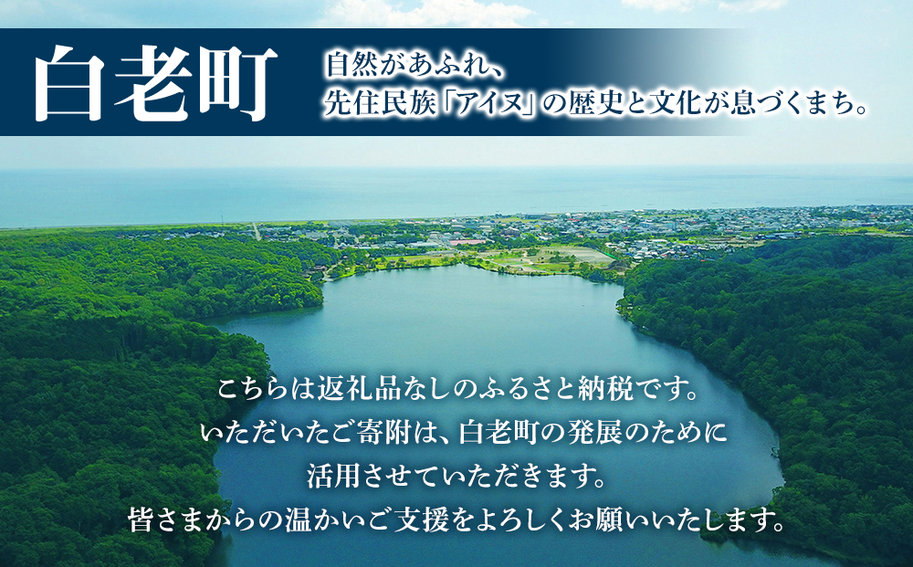 北海道 白老町☆応援寄付金☆10,000円【返礼品なし】【QQ004】