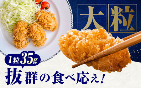 冷凍 大粒 カキフライ 40粒 広島県産 冷凍カキフライ 広島牡蠣 牡蠣 かき カキ  料理 簡単 魚介類 海鮮 ギフト 広島県福山市/クニヒロ株式会社[BACG006]