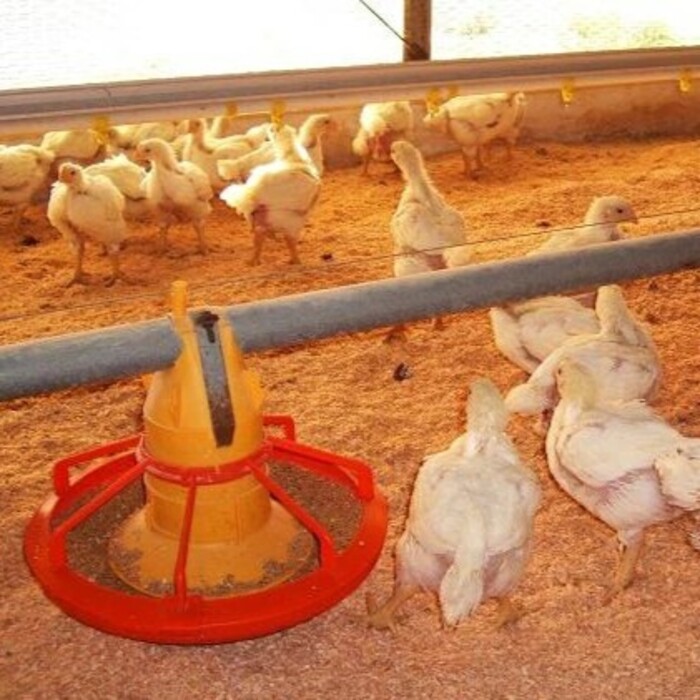 《数量限定☆先行受付中☆》クリスマスチキン 1羽 久井高原のスモークチキン小屋が作る無添加スモークチキン クリスマス限定 骨付き足 もも 胸肉 ササミ 鶏の燻製 1羽丸ごと 024002