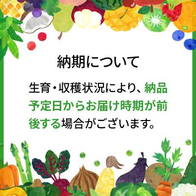 ふるさと納税 美郷町 【白米】令和6年産 冥土の土産 4kg(2kg×2袋)あきたこまち|01_tws-010401 |  | 01
