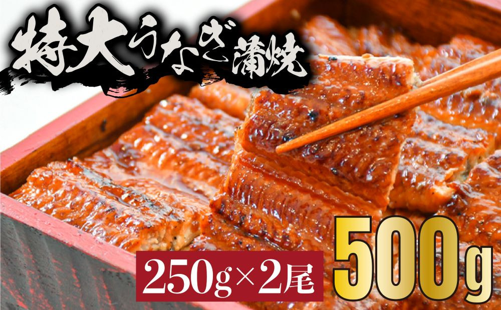 
            《特大》うなぎ 蒲焼焼き 2尾　500g（250gX2尾）　中国産　B-1035
          