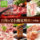 【ふるさと納税】【全6回】いつからでも始められるお肉の宝石箱定期便