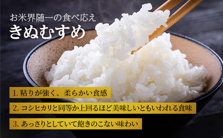 きぬむすめ 白米 単一原料米 きぬむすめ【6kg(3kg×2袋)】【定期便3ヶ月】