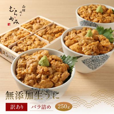 ふるさと納税 北斗市 「うにむらかみ」無添加生うに　訳ありバラ詰め　250g