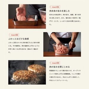 鉄板焼きハンバーグセット 和風オニオン×5個 デミグラス×5個　あんじょうハートいちじくソース入り【配送不可地域：離島】【1561019】