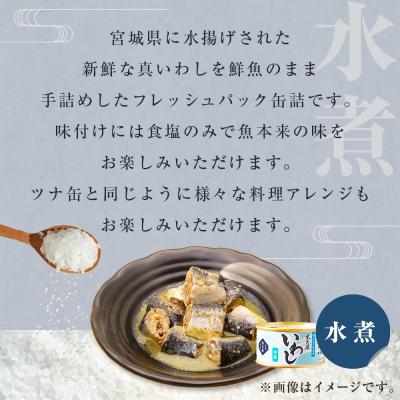 ふるさと納税 石巻市 イワシ 缶詰 いわし缶詰 水煮 24缶 セット 国産 石巻市 常温 非常食 レトルト 缶つま 鰯 |  | 01