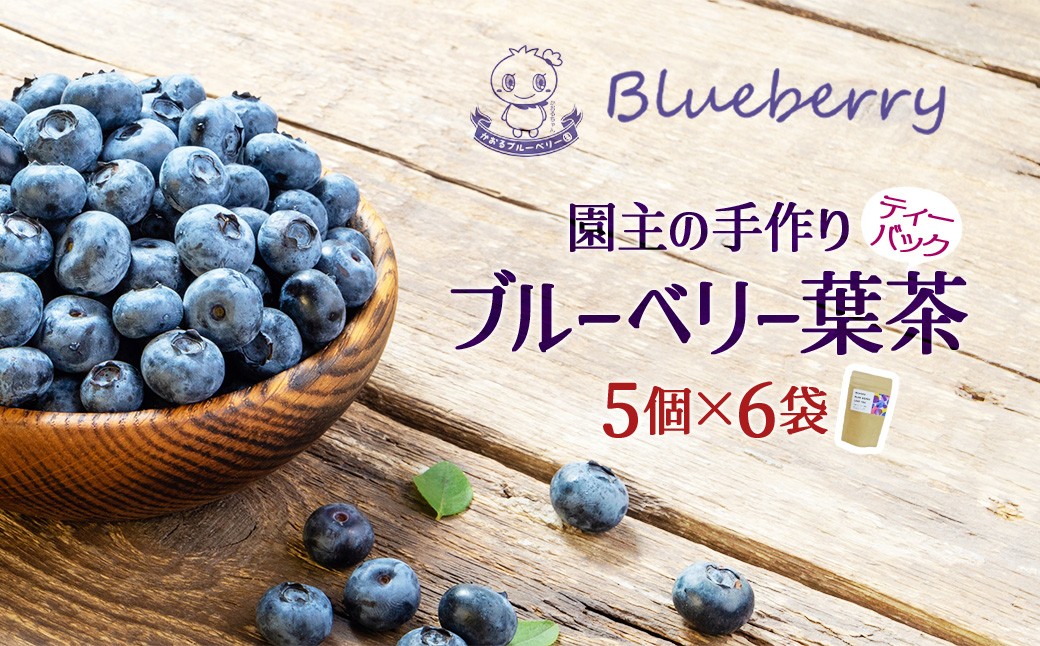 
                  ブルーベリー葉茶1袋（2g×5個)×6袋　【福島県三春町　かおるブルーベリー園産使用】　【07521-0149】
                